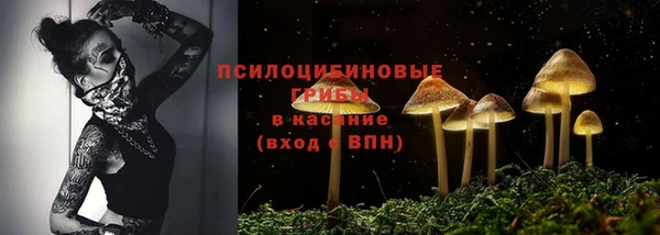 марки nbome Пересвет