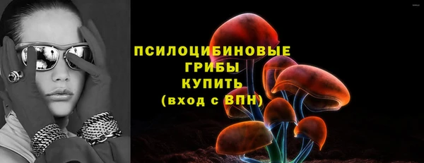 spice Пестово