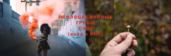 spice Пестово