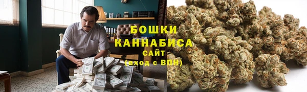 spice Пестово