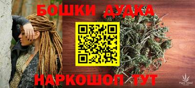 гидра Гагарин